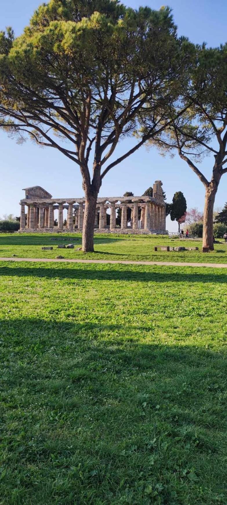 Le Colline Di Paestum Bed & Breakfast Capaccio Exterior photo